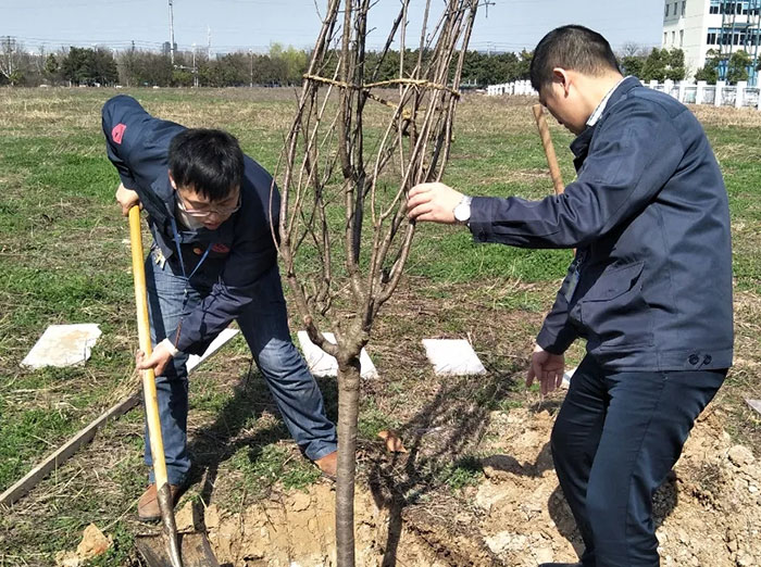 新澳门资料网